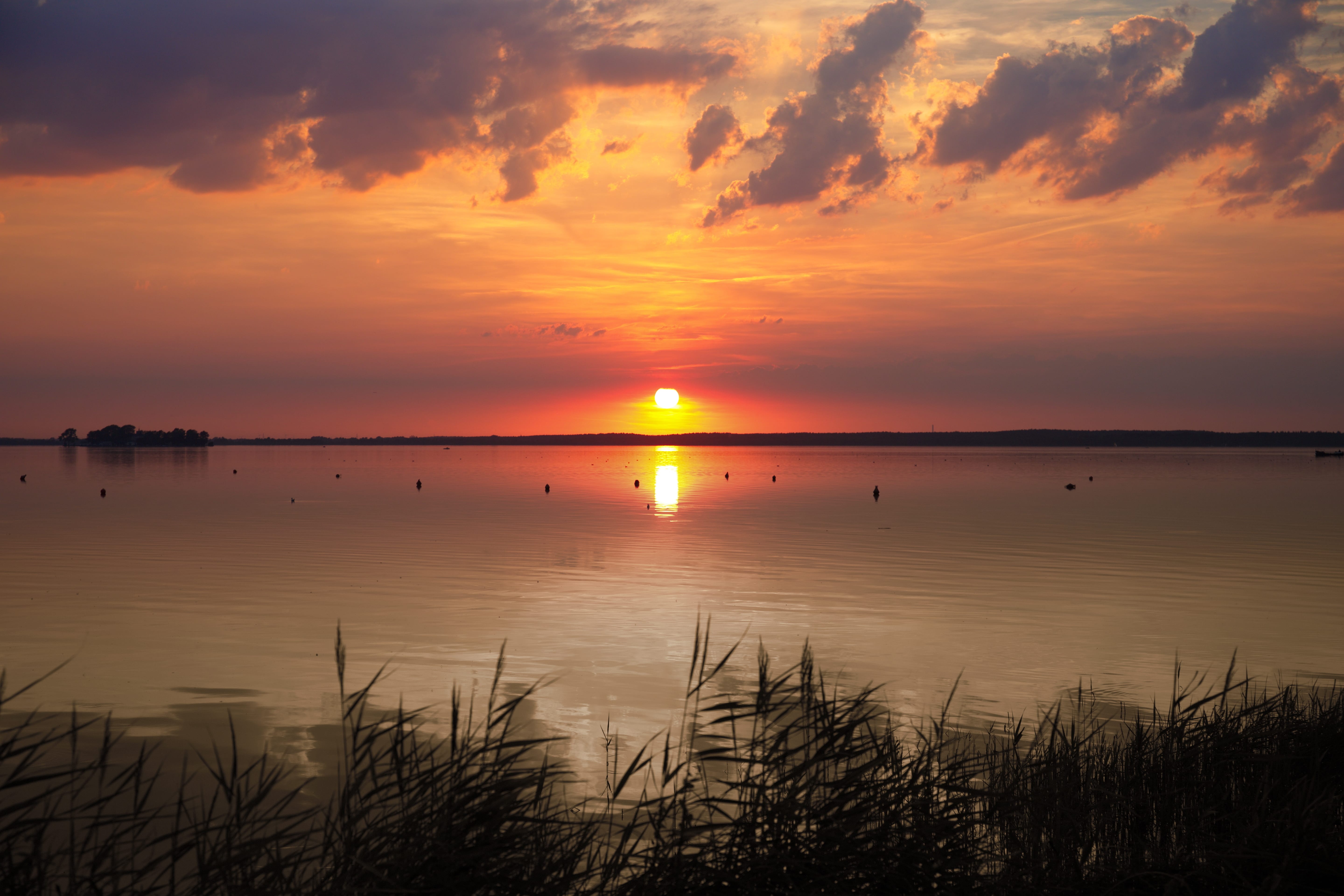 Camping am Steinhuder Meer  Schne Pltze fr Camper auf einen Blick |  PiNCAMP by ADAC