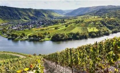 Camping an der Mosel