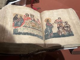 MARCO POLO 1 (1).jfif