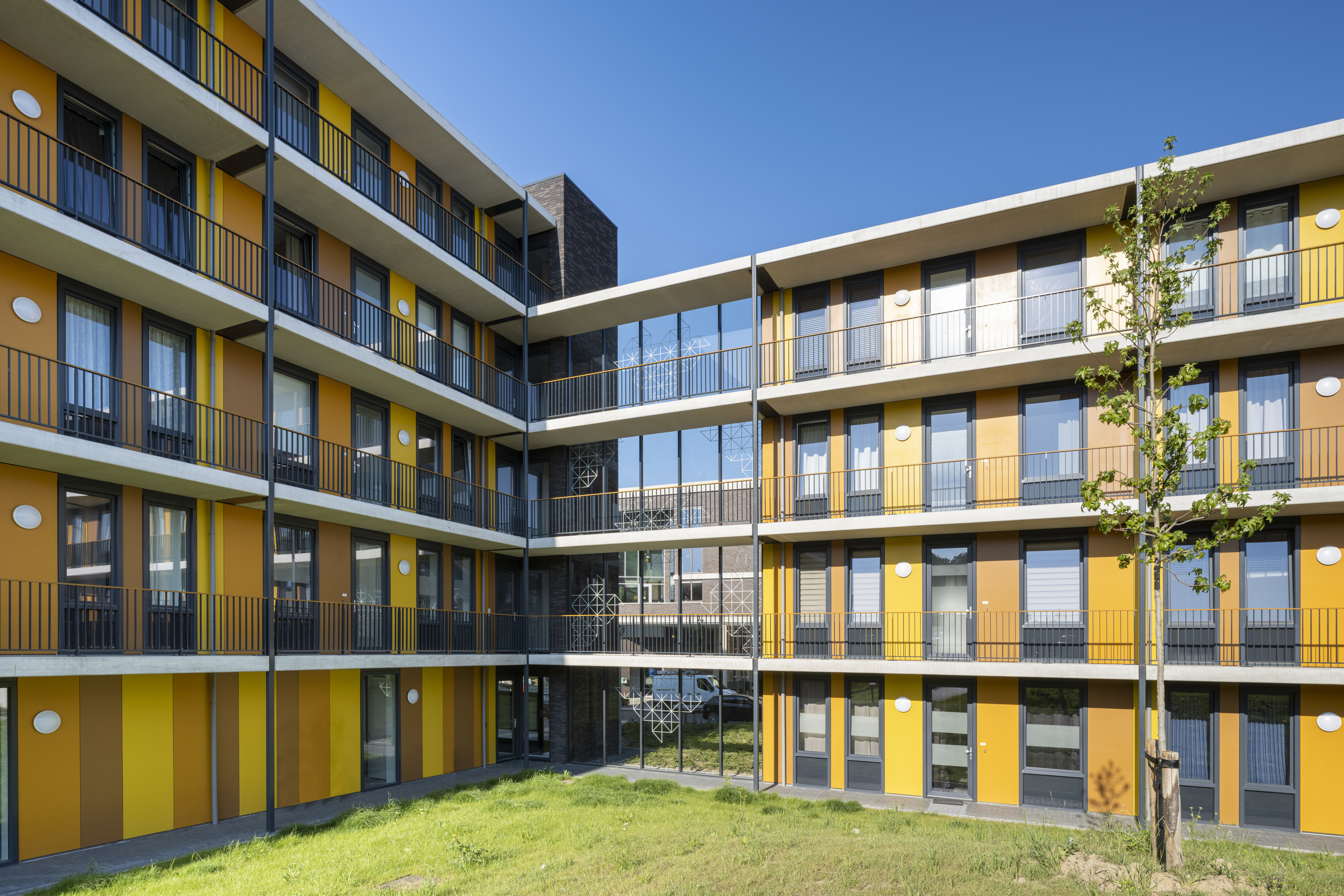 De Magistraat - Colours.jpg