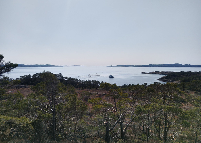 Storaneset (Langaneset)