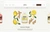 Screenshot from the Chobani Foodservice Desktop detail product page. It showcases Lemon Ginger product as an example