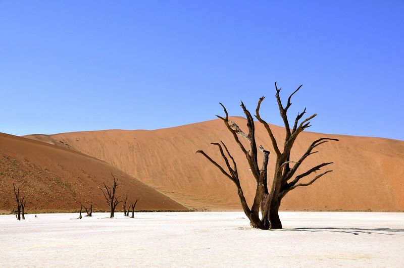 namibia dedvlei