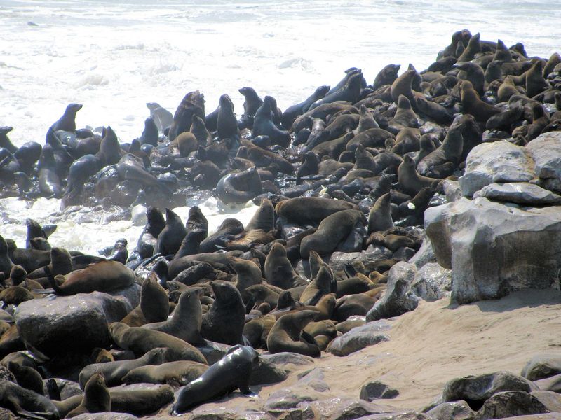 skeleton coast namibia
