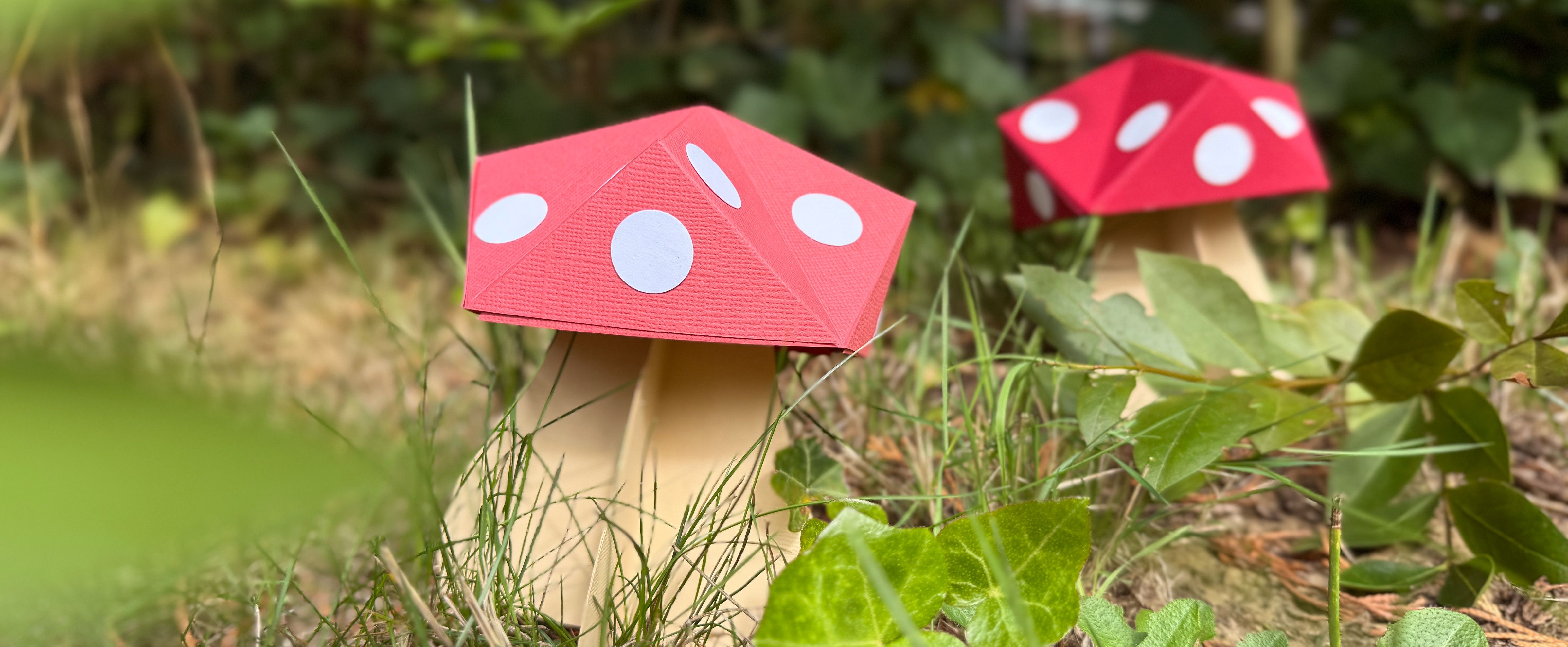 3D paddestoelen knutselen van papier met rode hoed