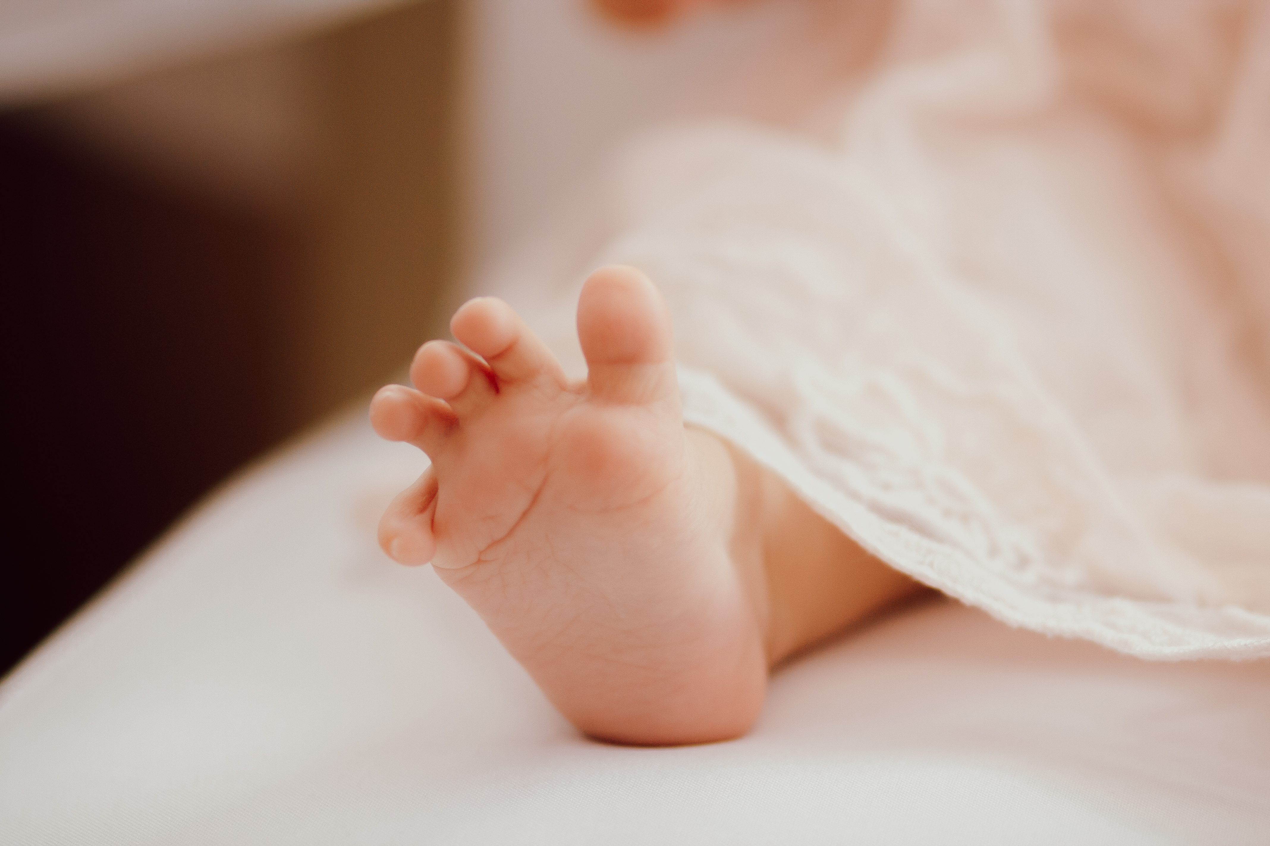 Zdjęcie z galerii Fotobello 4