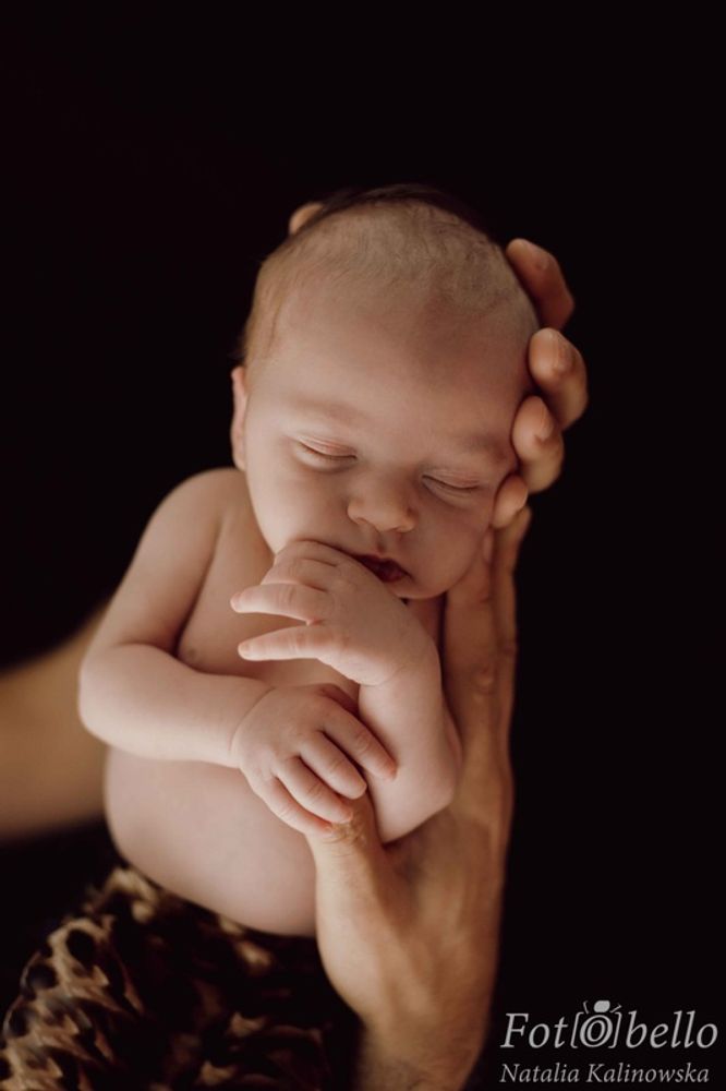 Zdjęcie z galerii Fotobello 67