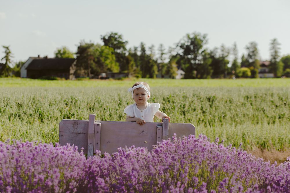 Zdjęcie z galerii Fotobello 27