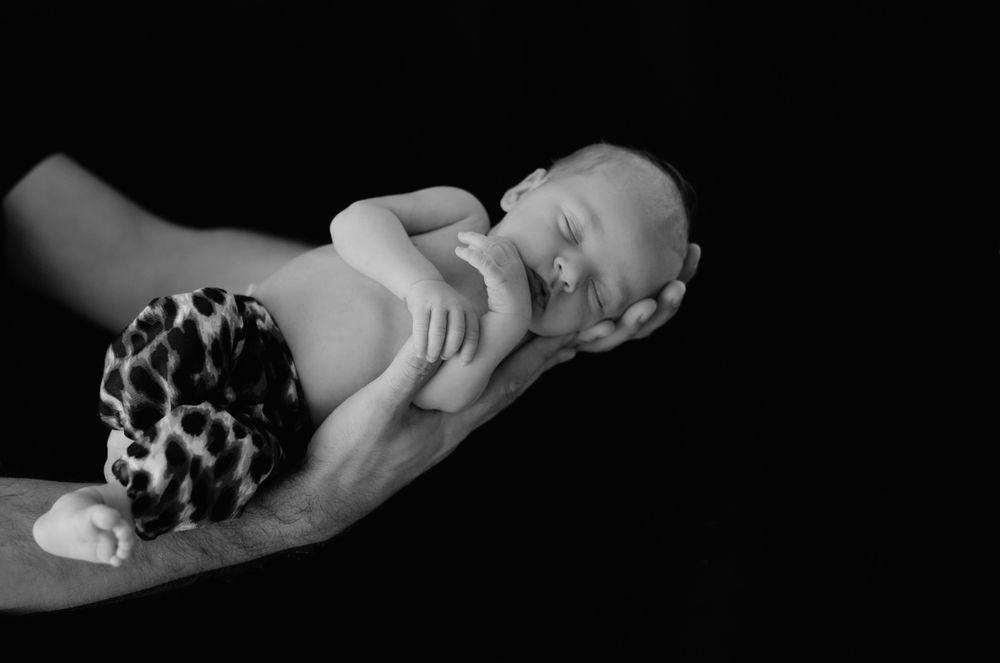 Zdjęcie z galerii Fotobello 71