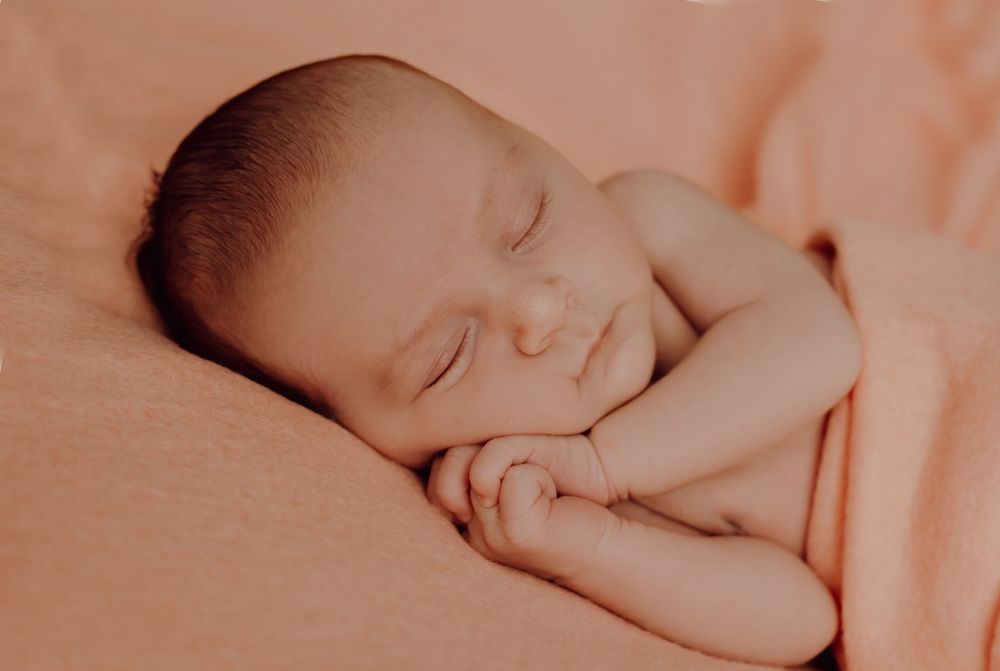 Zdjęcie z galerii Fotobello 74