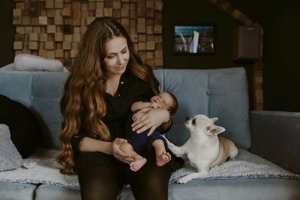 Zdjęcie z galerii Fotobello 51