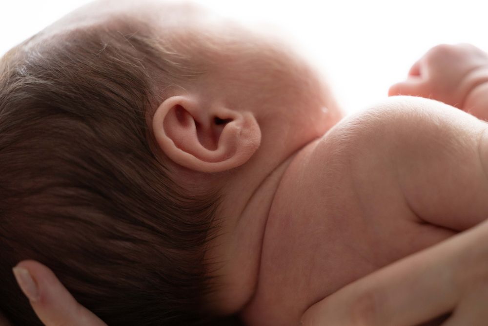 Zdjęcie z galerii Fotobello 26