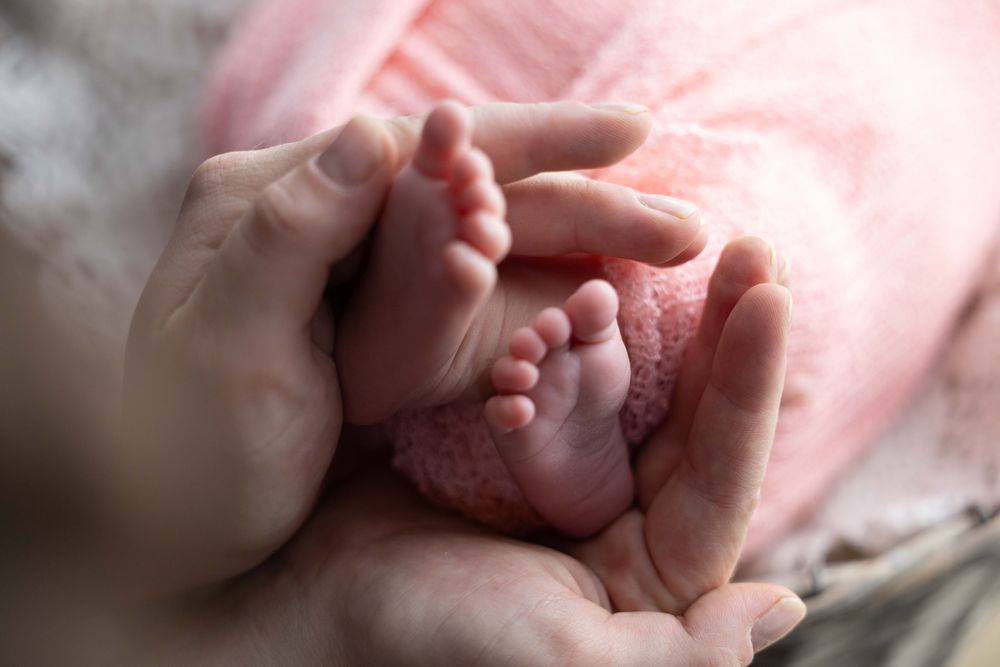 Zdjęcie z galerii Fotobello 27