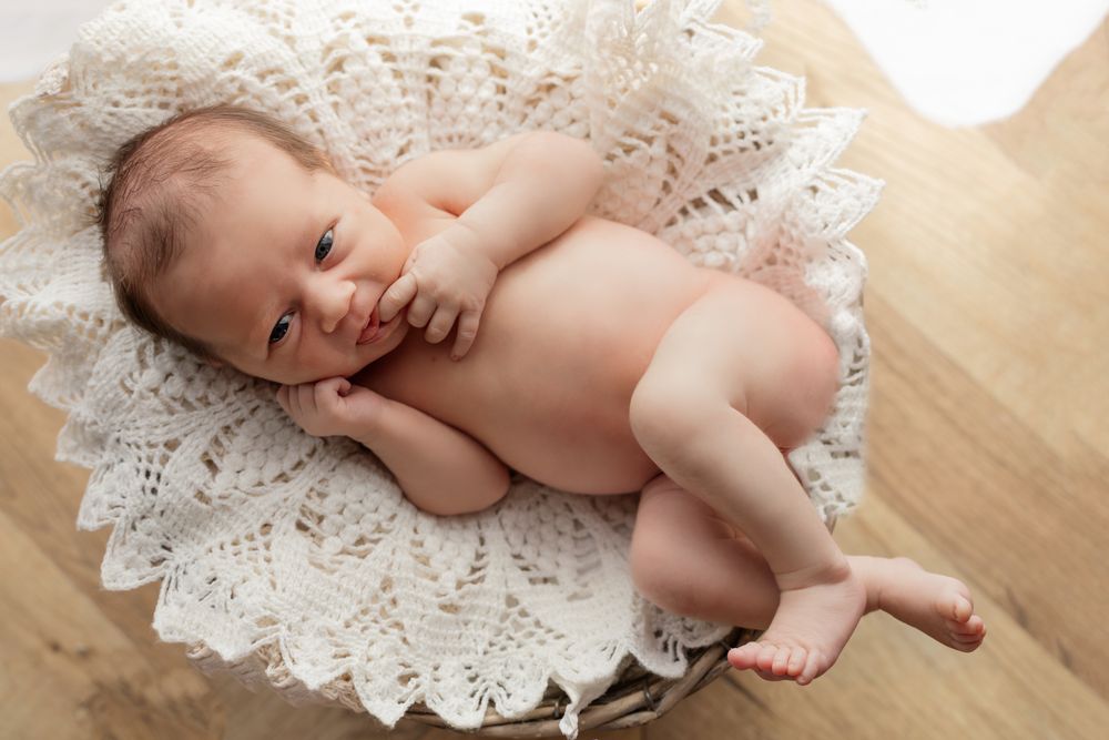 Zdjęcie z galerii Fotobello 33