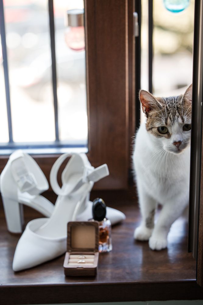 Zdjęcie z galerii Fotobello 5