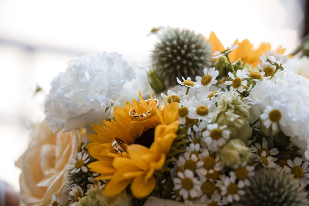 Zdjęcie z galerii Fotobello 13