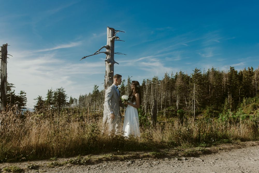 Zdjęcie z galerii Fotobello 74