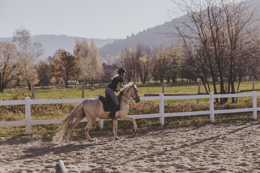 Zdjęcie z galerii Fotobello 18