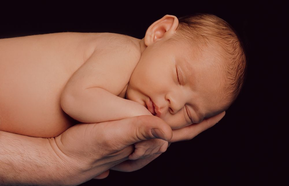 Zdjęcie z galerii Fotobello 81