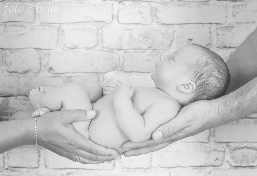 Zdjęcie z galerii Fotobello 65