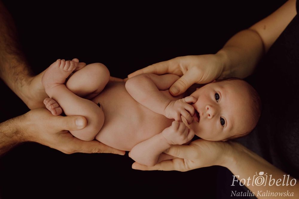 Zdjęcie z galerii Fotobello 68