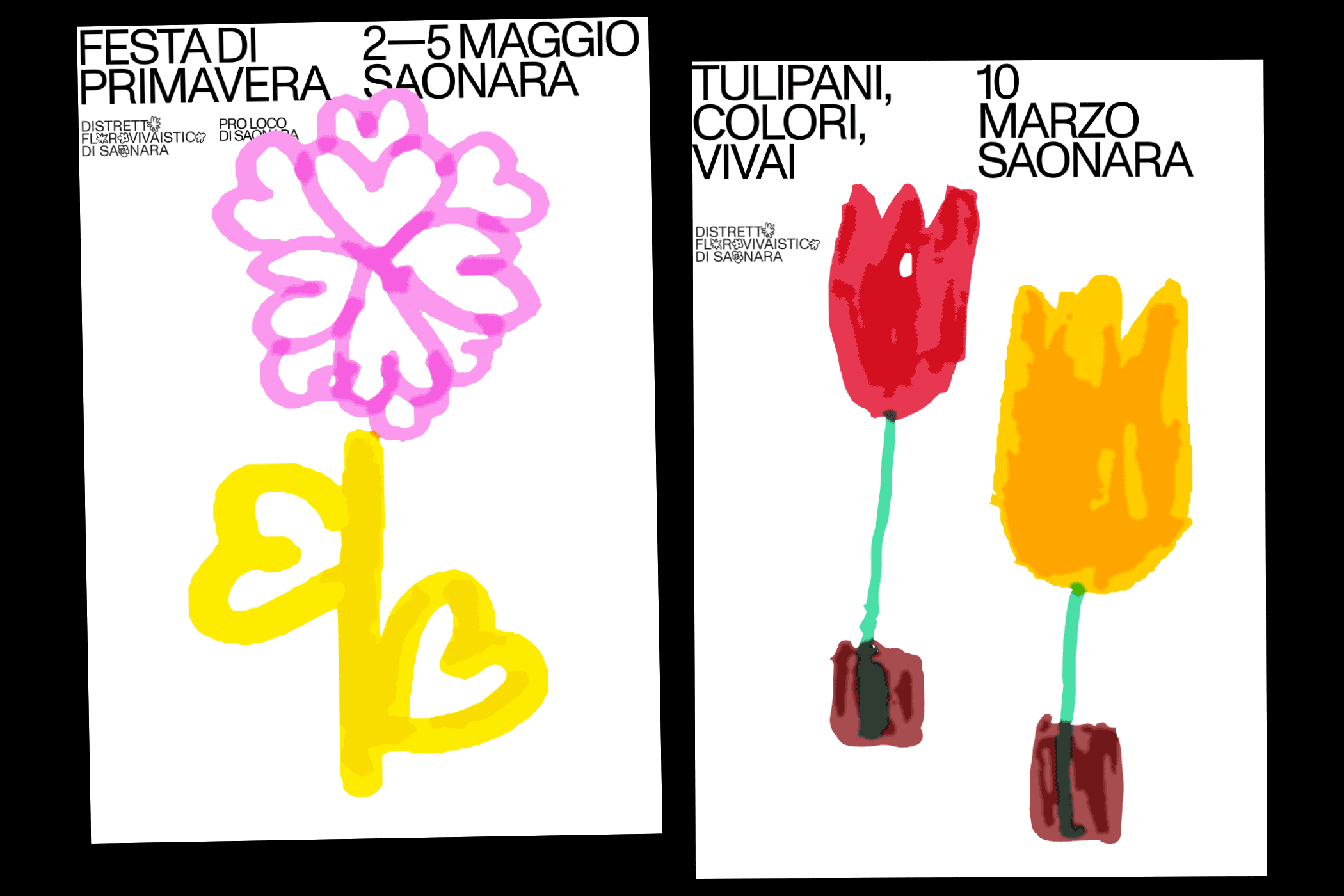 Distretto Florovivaistico di Saonara, proposta di identità visiva