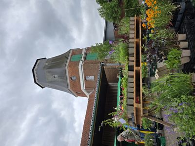 20250504_112348.jpg