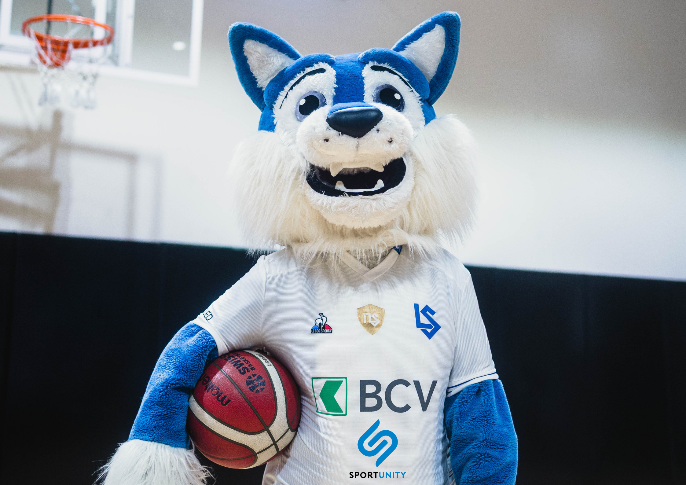 basket 3x3 ls blog.png