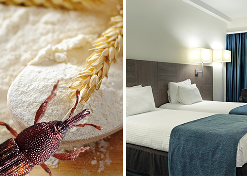 Wärmeentwesungsgeräte - Lösungen für Hotels und Lebensmittelbetriebe
