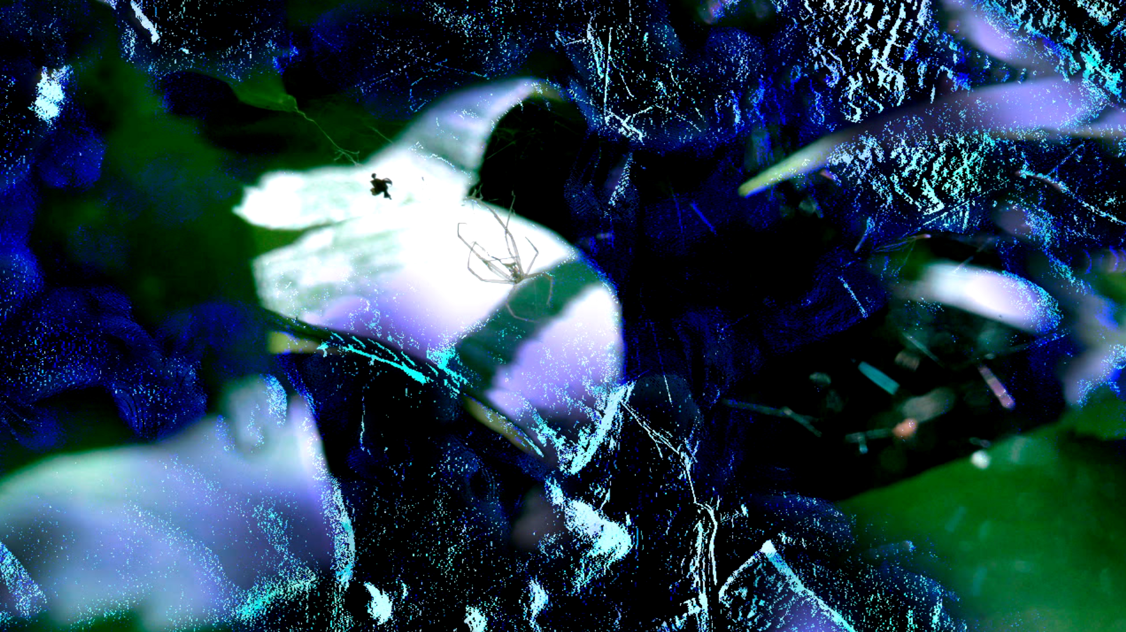 2025-11-03 19_30_35-electric_noise.mov - VLC media player.jpg