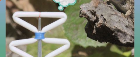 Rats, Ravens and Robots; A Zoöp Meetup with Ian Ingram
