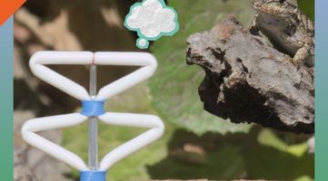 Rats, Ravens and Robots; A Zoöp Meetup with Ian Ingram