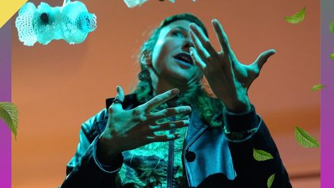 Rooted Connections, A Zoöp Meetup header image
