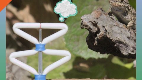Rats, Ravens and Robots; een Zoöp Meetup met Ian Ingram header image