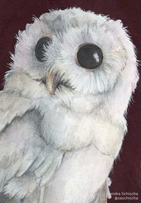 TeapotOwlDetail.jpg