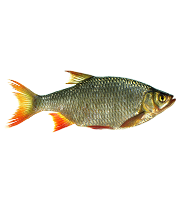 Hvorfor skal alle bli datadrevet – nå?