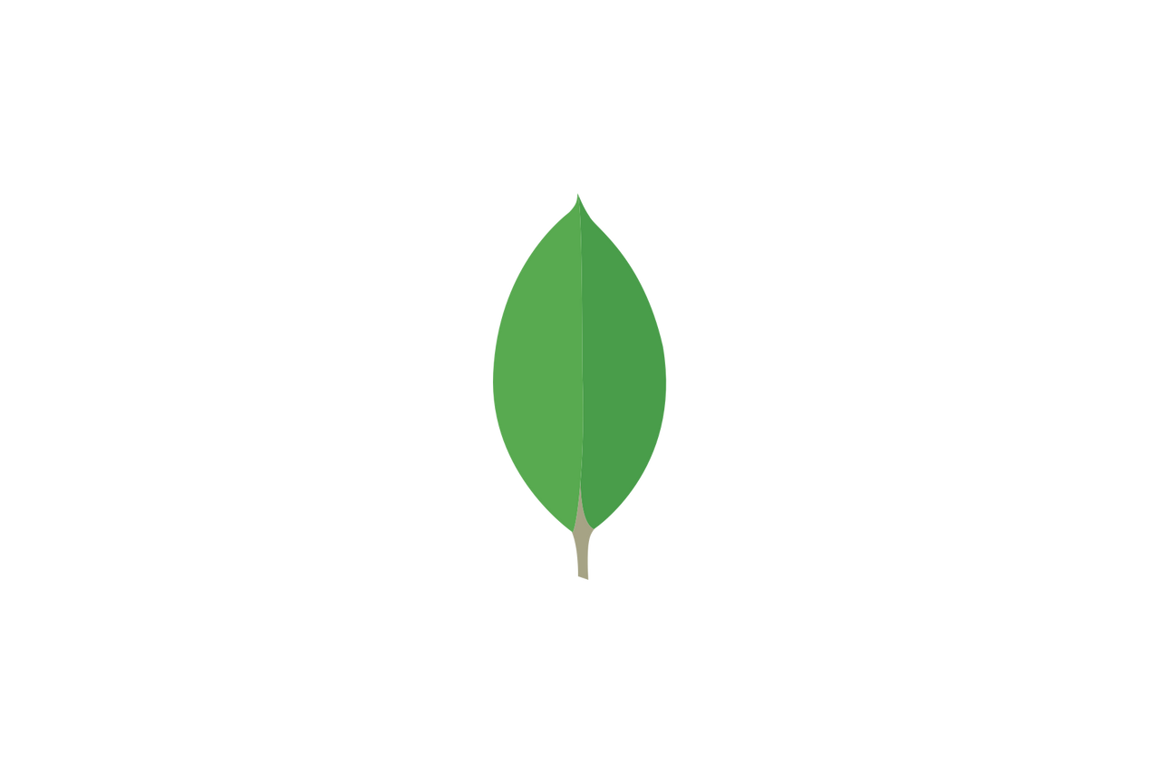 Building a website with Stitch and Next