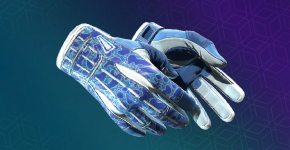 Sport Gloves Skins