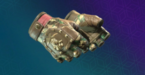 Bloodhound Gloves Skins