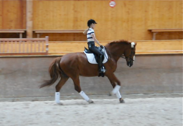 Bildschirmfoto-2015-06-28-um-17-23-17.png
