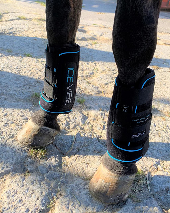produktbewertung-5-sterne-fuer-horseware-ice-vibe (2).jpg
