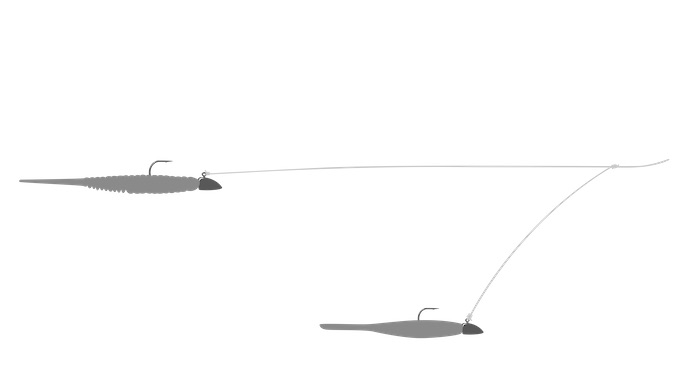 Doppel Jig Rig Montage.jpg