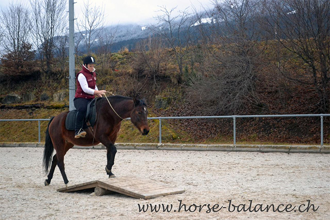 reiten-mit-halsring (2).jpg