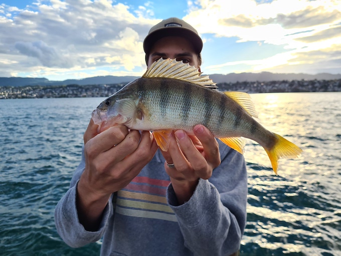 benno egli doppel jig rig.jpg