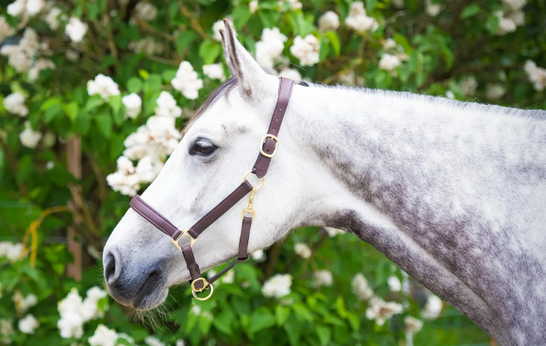 Design ohne Titel (42).png