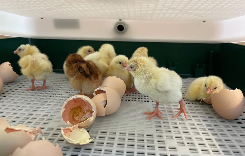 BLOG Titelbild (1).jpg