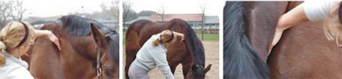 rueckenprobleme-vermeiden-teil-1-rueckenprobleme-und-kissing-spines (2).jpg