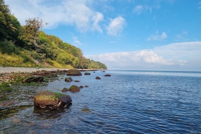 meerforelle seeforelle dänemark tipps und tricks.jpg