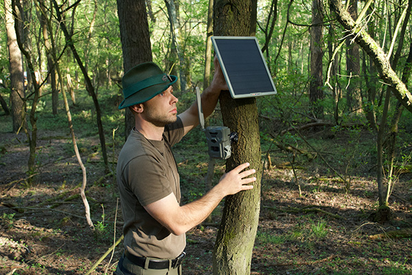 So platzieren Sie Ihre Wildkamera korrekt_Solarpanel.jpg