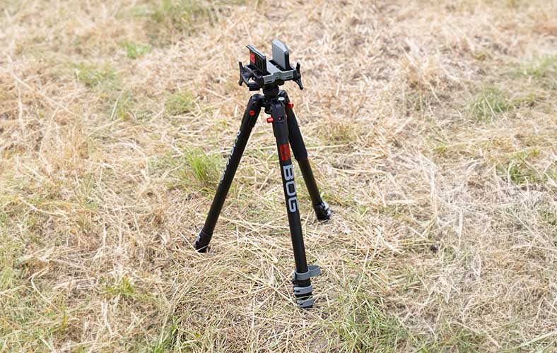Jagd-Blog-05-788x500.jpg